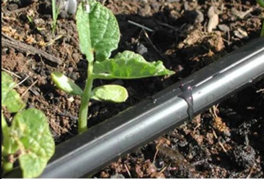 Emitting Pipe Price Per Mtr.